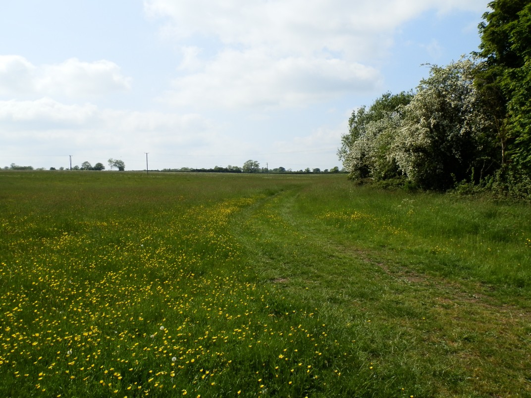 first grass field landscape rectory farm