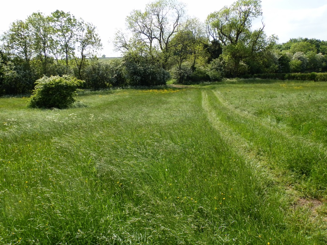 second grass field landscape rectory farm
